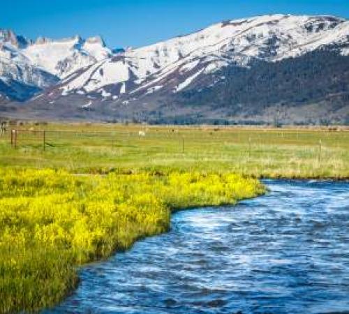 California Environmental Quality Act
