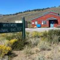 Whitmore Animal Shelter