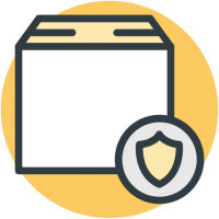 Election Security Icon