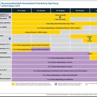 With these immunization recommendations the notes must be read