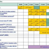Image of immunization calendar