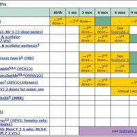 Image of immunization calendar