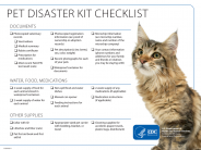 Disaster kit for cats