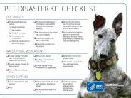 Disaster Kit for Dogs