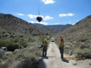 2015 Marijuana Grow, Mono County