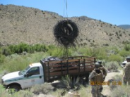 2015 Marijuana Grow, Mono County