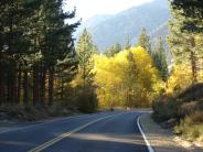 Lundy Canyon Road Fall Colors