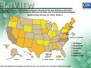 FluView - Weekly Influenza Surveillance Report 