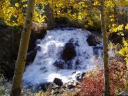 Fall Colors on Lee Vining Creek