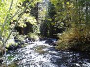 Rush Creek