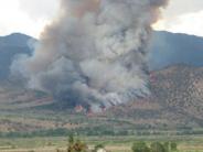 Larson Fire (Coleville) June 2007