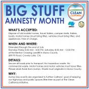 Big Stuff Amnesty Month