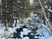 View of Robinson Creek from the Paha - Lower Twin Trail.