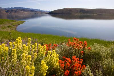 Topaz Lake