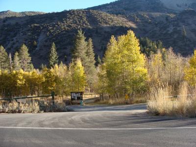 lundy canyon campground mono county california daily task