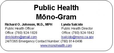 Mono Gram Logo