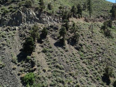 Photo of an ATV crash site