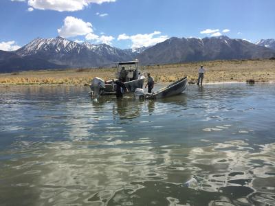 Fishermen on capsized boat on Crowley Lake