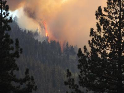 Photo of Eagle Fire