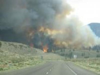 June Lake Fire 2007