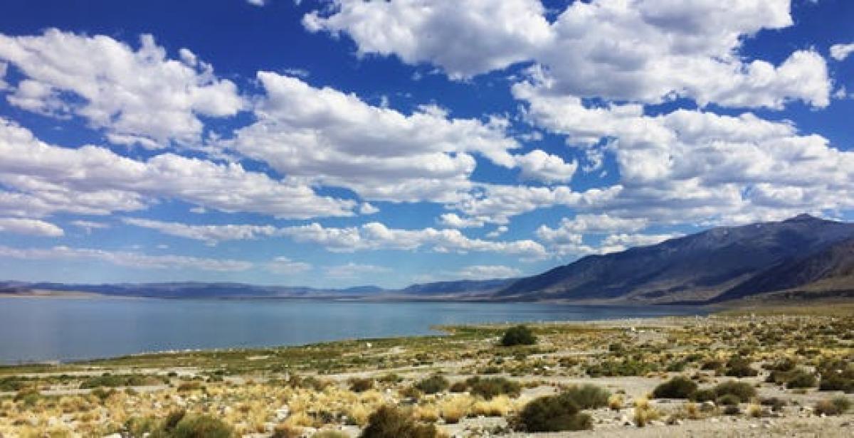 Walker Lake